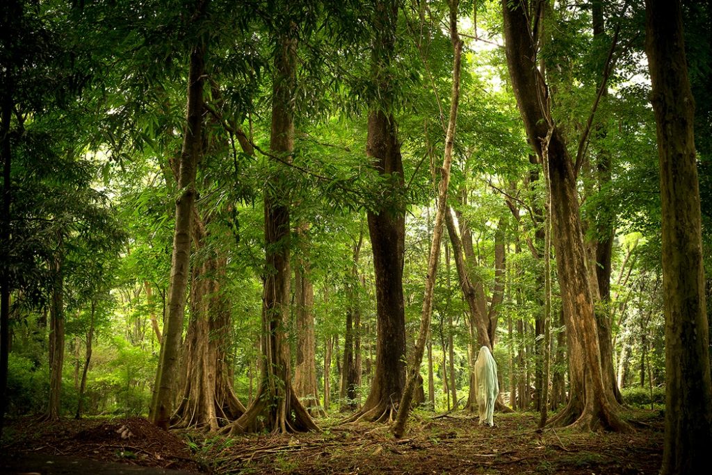 06 conversaciones retorno mimesis conversaciones matey 2017w 1